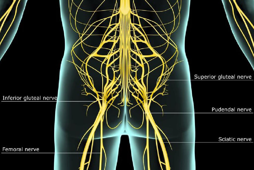 liječenje artroze koljena 2. stupnja želatinom bol zgloba kažiprsta