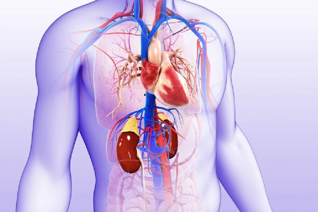 veza hipertenzija do srca liječenje hipertenzije blato