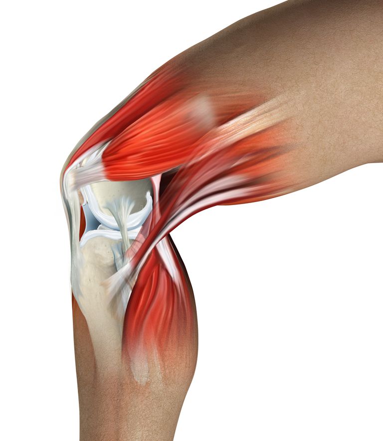 bol u koljenu- spoj mišića