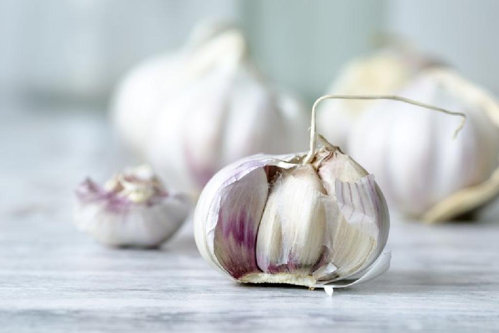 Bawang Putih Untuk Selesema Bolehkah Ia Membantu