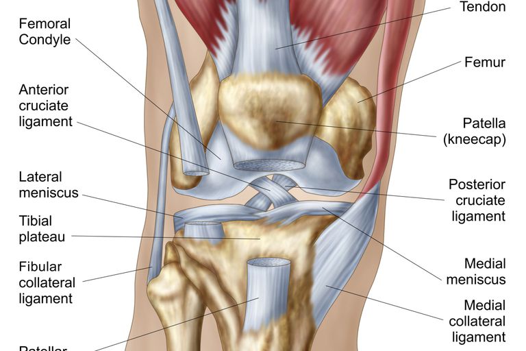 što uzrokuje bol u zglobovima koljena