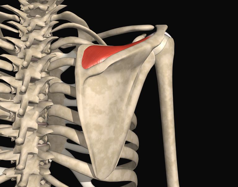 ruperea manșetei rotative a tratamentului articulației umărului