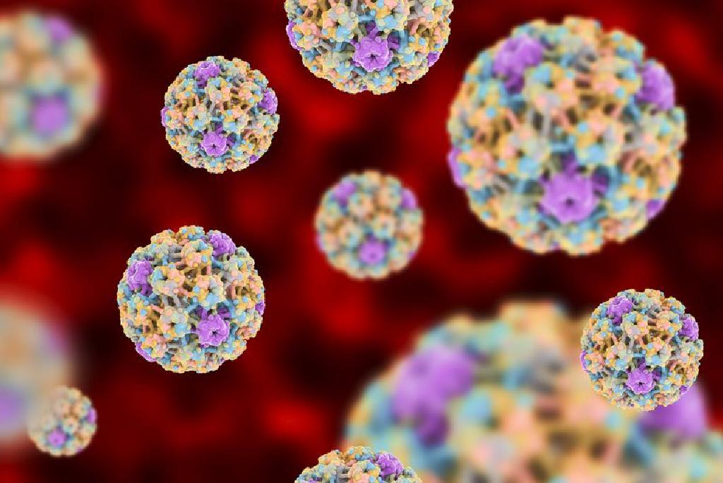 trebuie să fie tratat papilomavirus uman cum funcționează o detoxifiere a colonului
