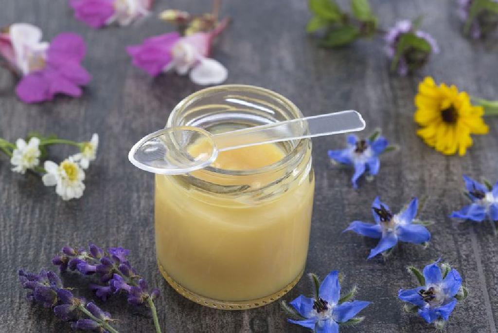 Manfaat Kesihatan Penggunaan Dan Kesan Sampingan Royal Jelly