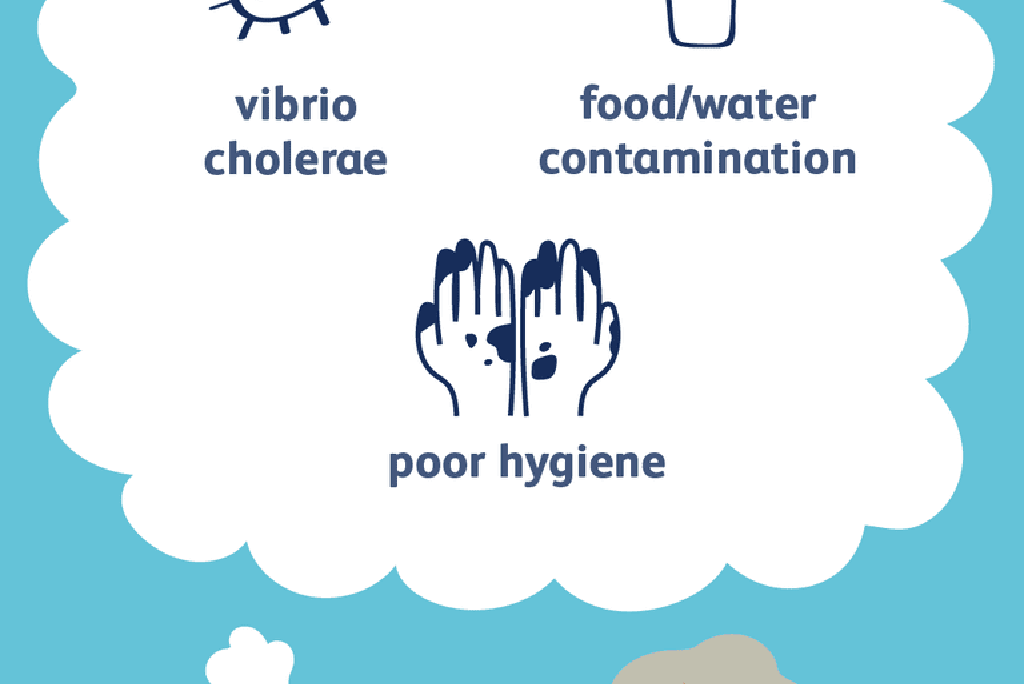 Punca penyakit kolera