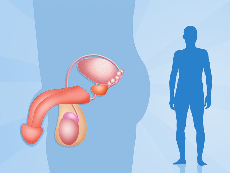 Prostatitis az urethreban - Oktatóanyag