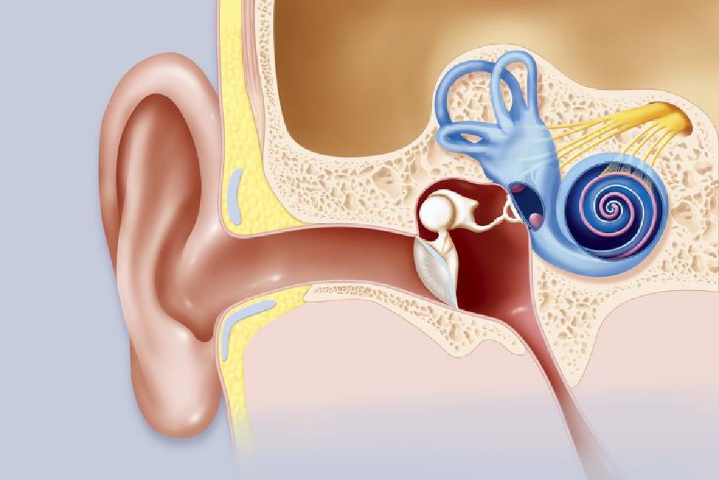 Migrain Dan Tinnitus Atau Ringing Di Telinga